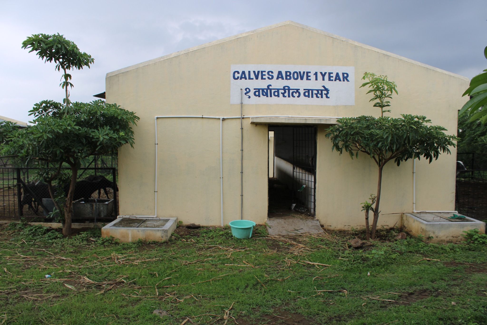 Livestock Farm Animal Shed2